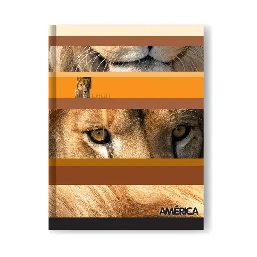 [AMERTC42RAYA] Cuaderno América tapa Cartón, 16 x 21cm. 42 hojas rayadas
